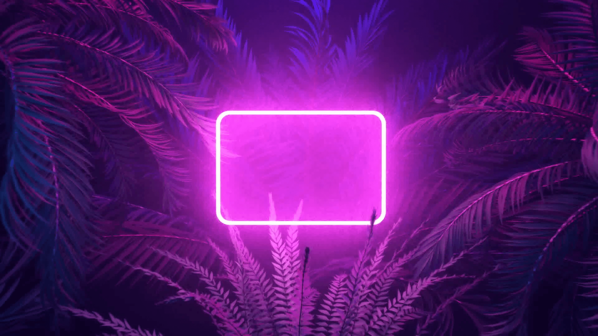Sensational Aesthetic Neon Lights Laptop Wallpaper Photos