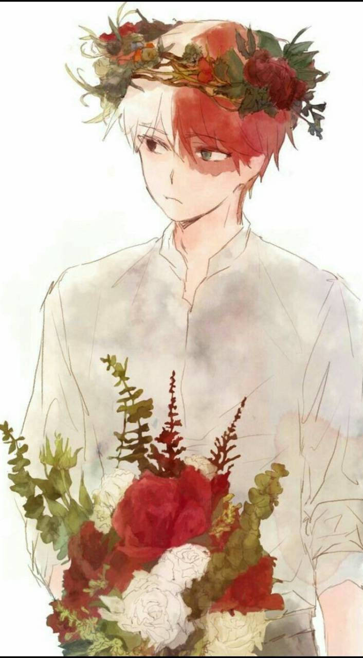 Todoroki Cute Picture Wallpaper