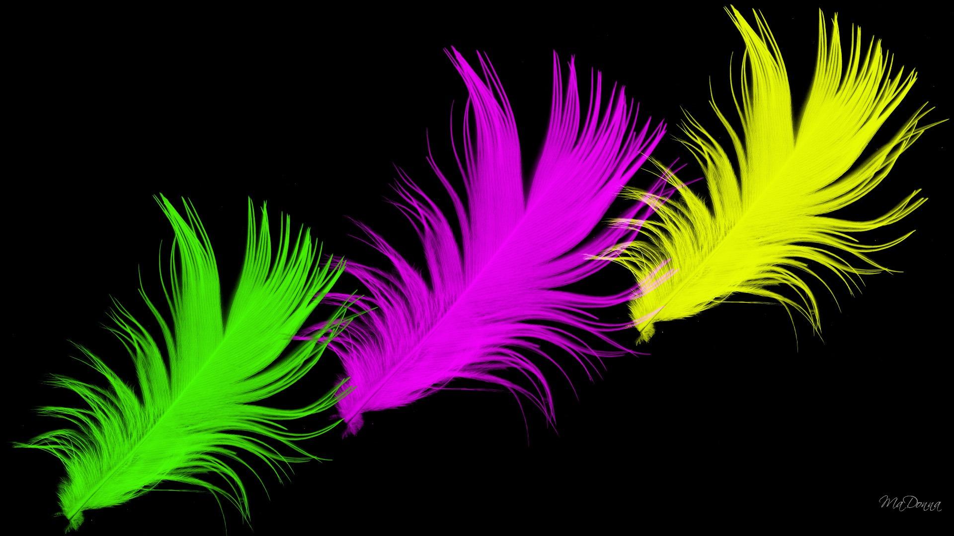 Neon Feathers Id Buzzerg