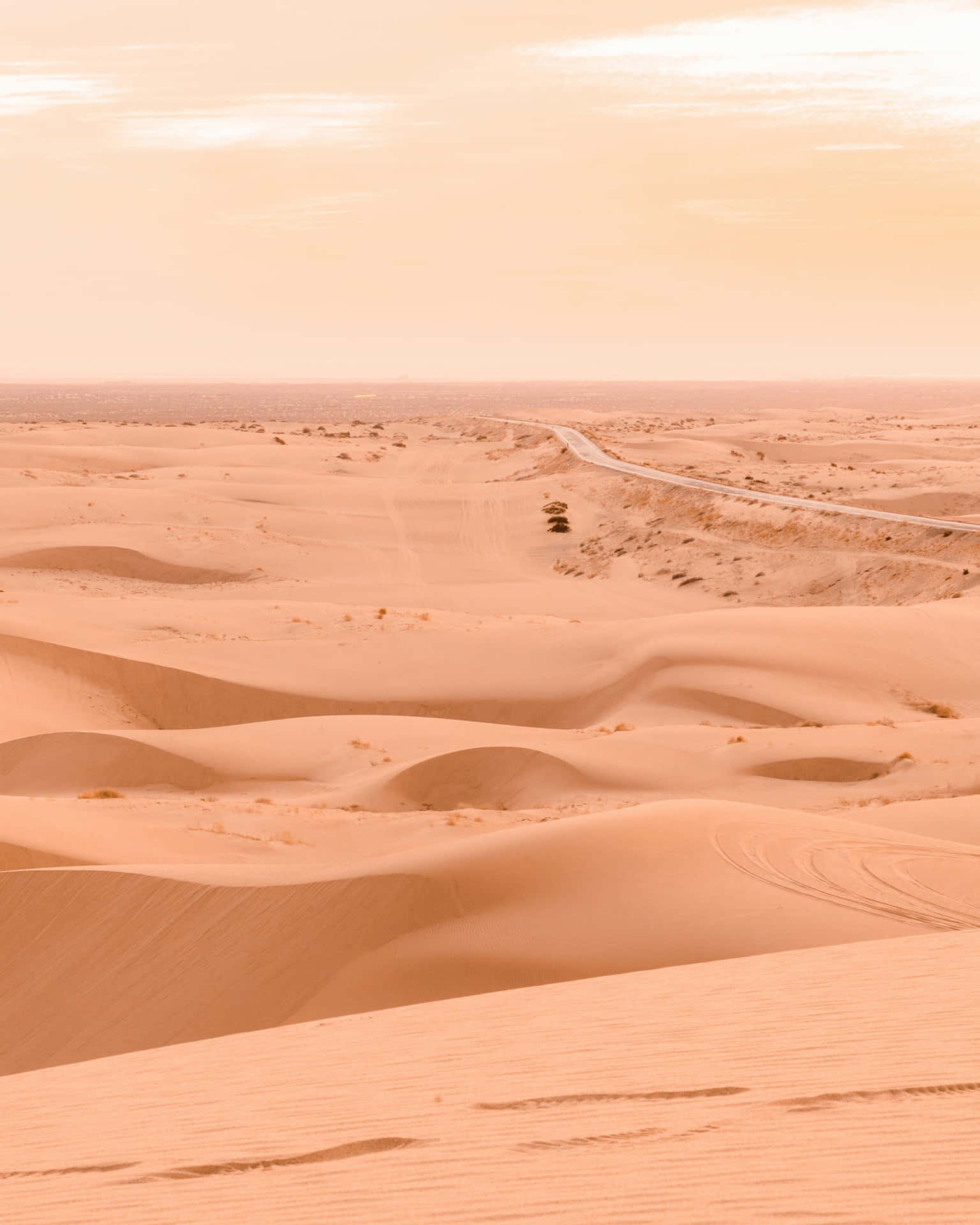 Desert Aesthetic Wallpaper