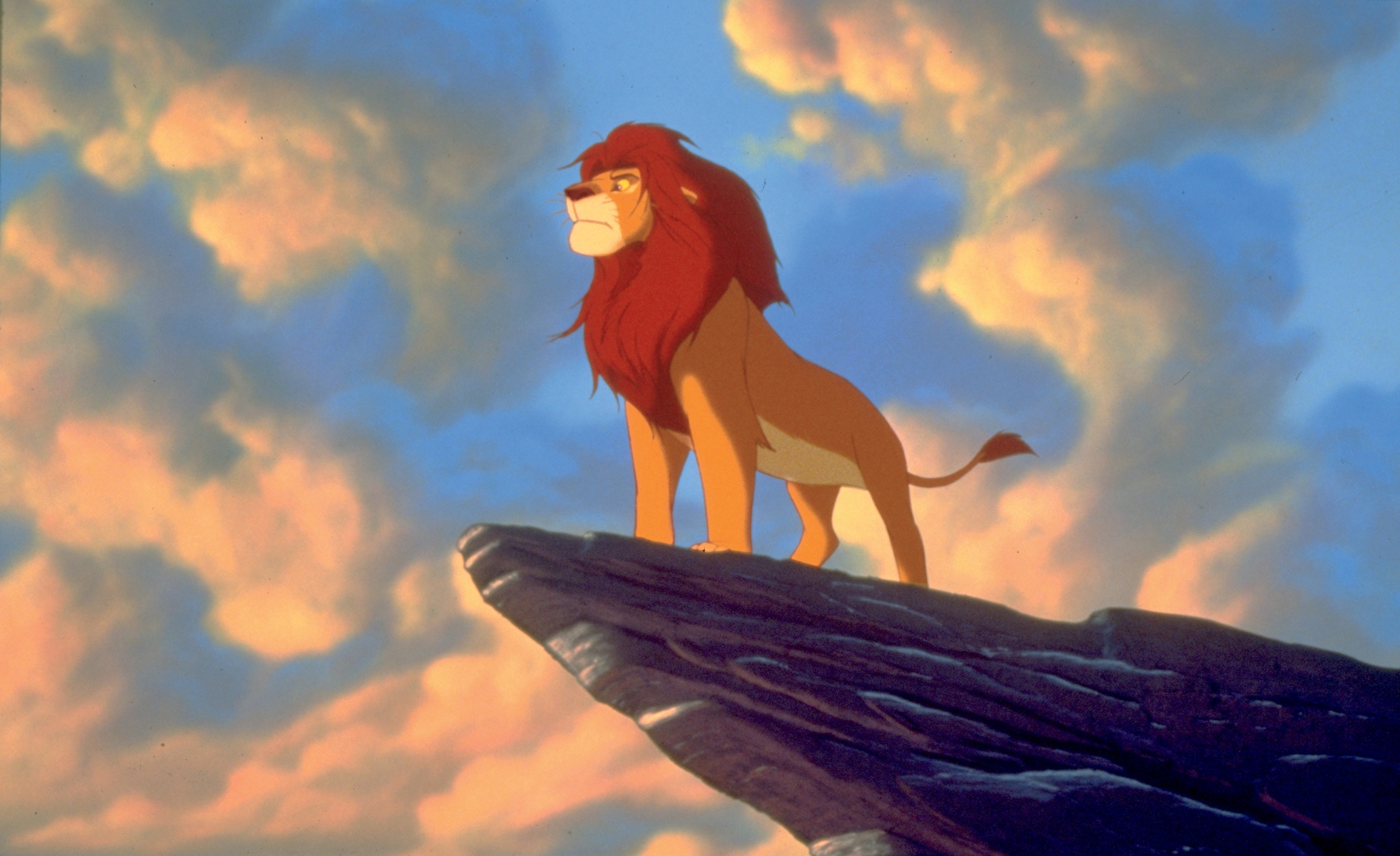 Simba On Pride Rock The Lion King Wallpaper