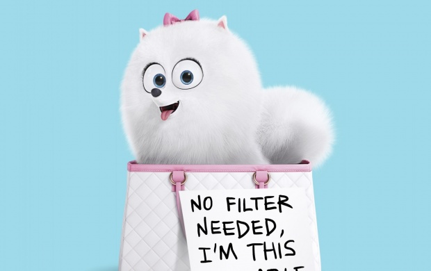 Gid Get The Secret Life Of Pets click to view 620x390