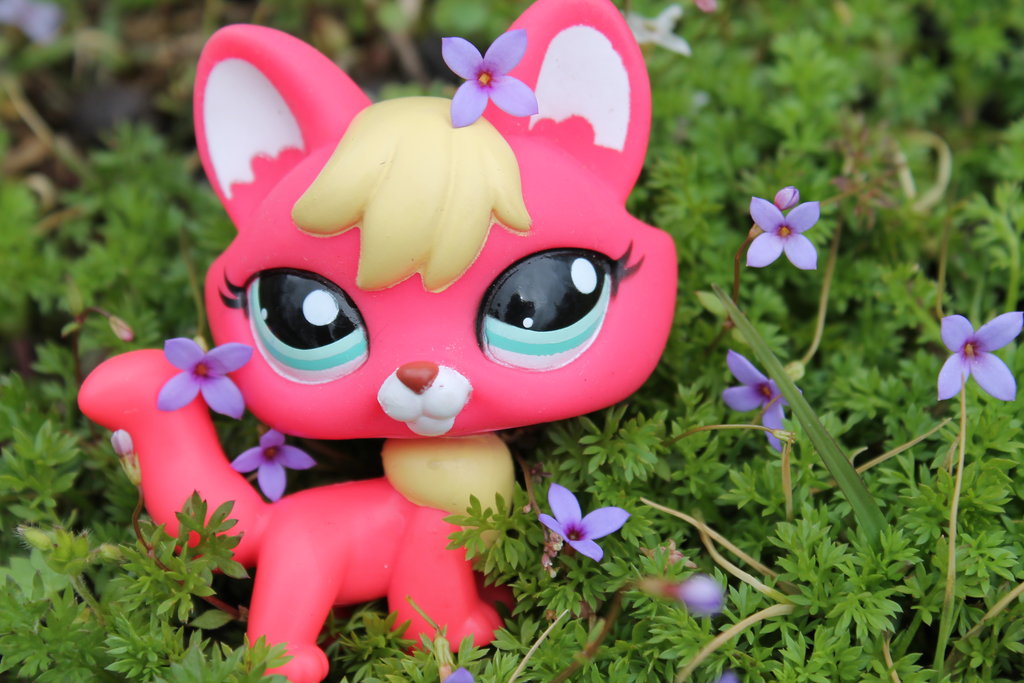 Lps Fox Ouside In The Flowers By Sophieagtv