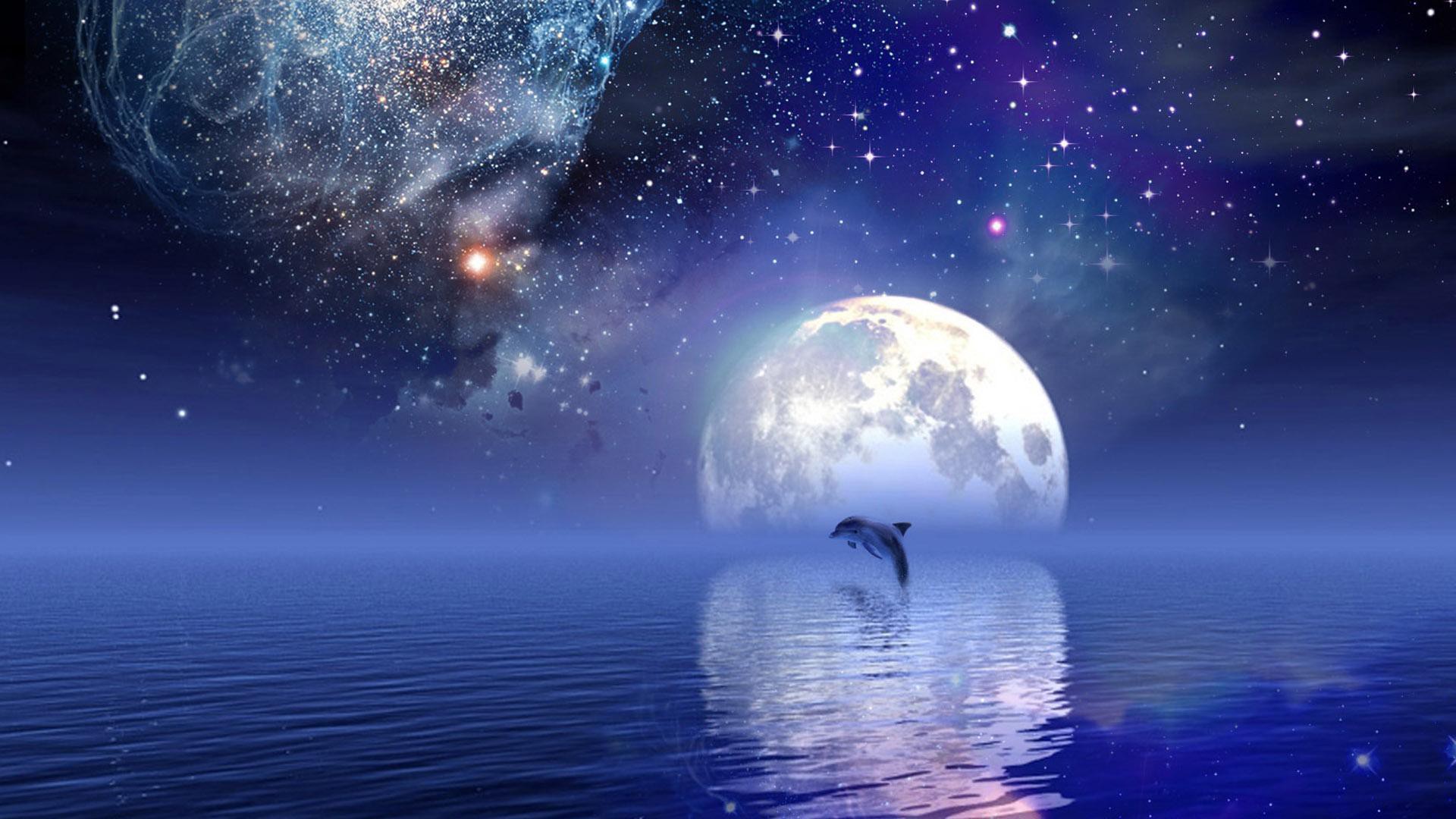 HD Dolphins Star Puter Desktop Wallpaper Image