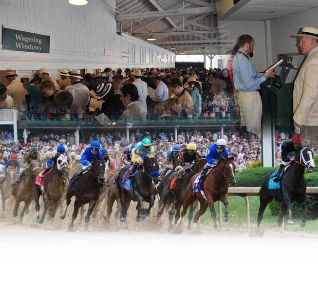 Kentucky derby betting background derby experiences