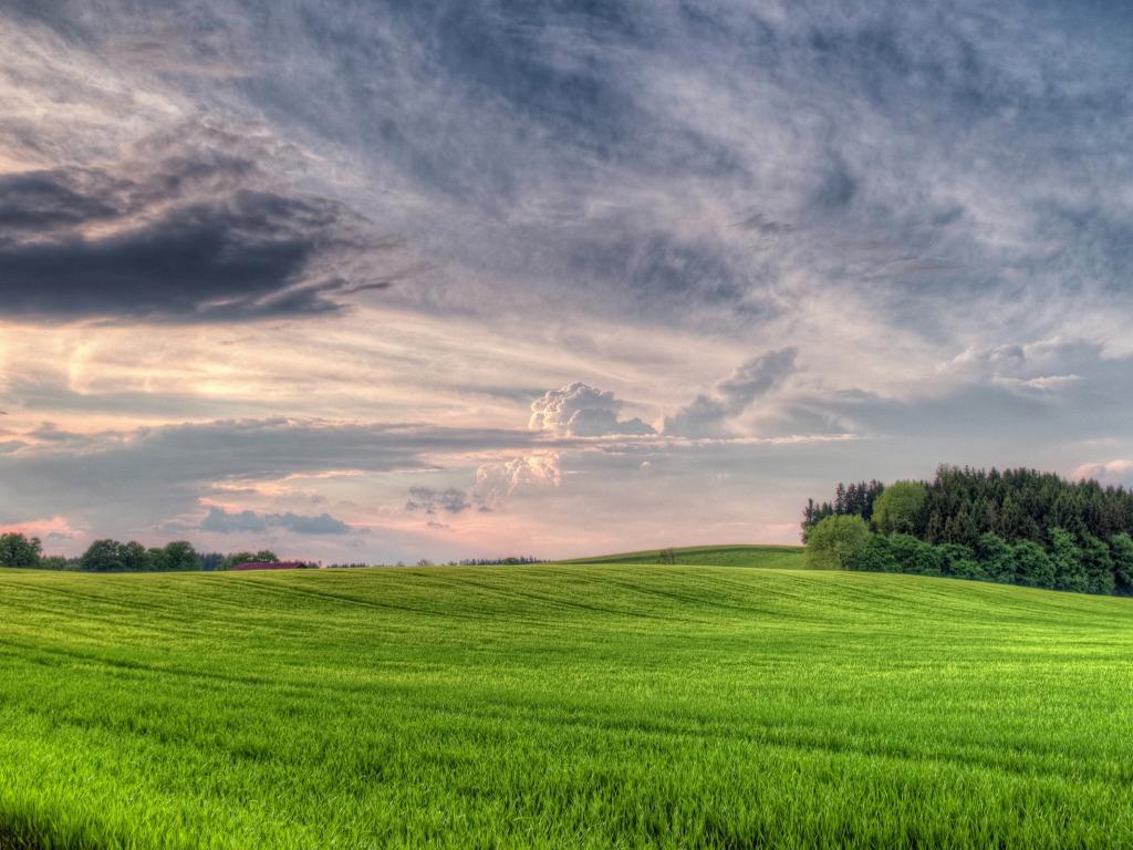 Green Meadow And Cloudy Sky