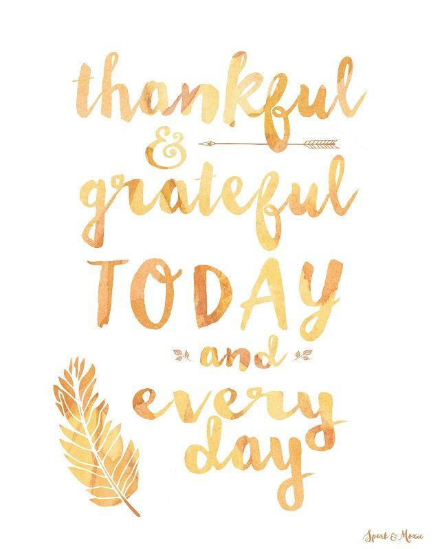Happy Thanksgiving Gratitude Image Photos Pictures Pics Wallpaper