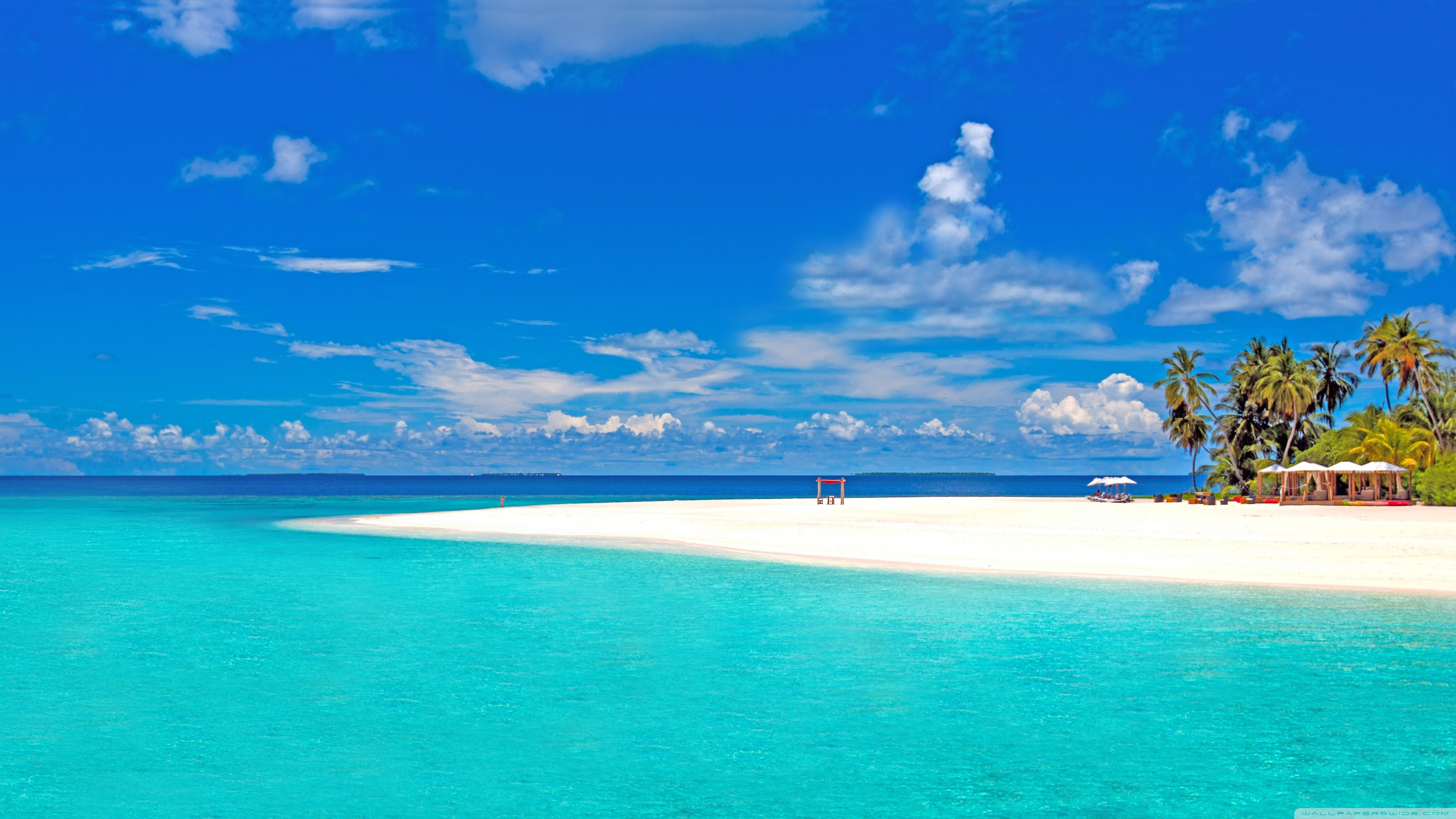 Tropical Desktop Background Wallpaper