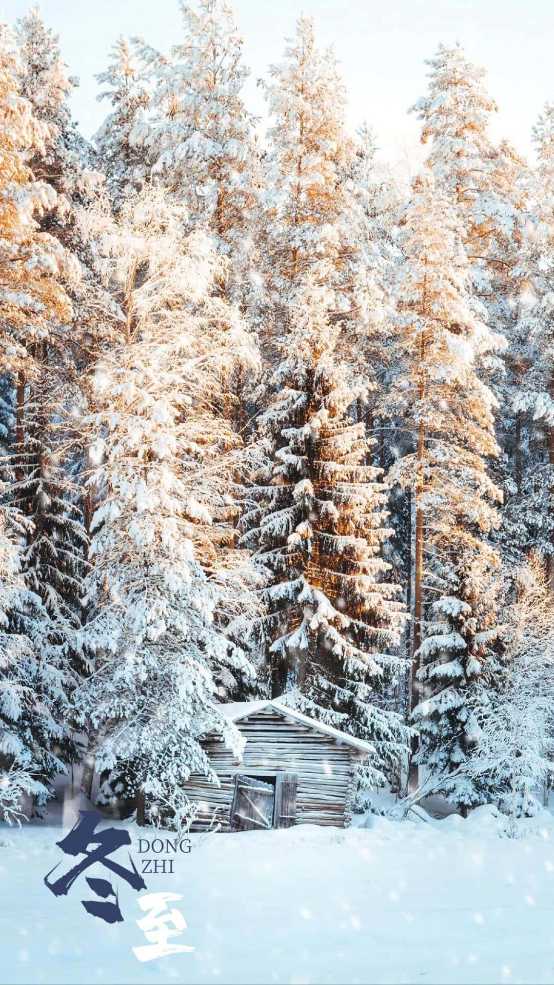 Snow Falling Wallpaper