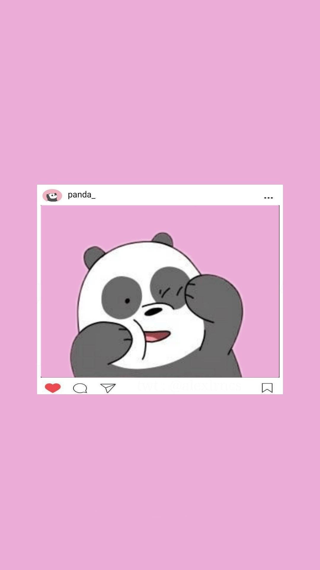 Panda We Bare Bears Wallpaper