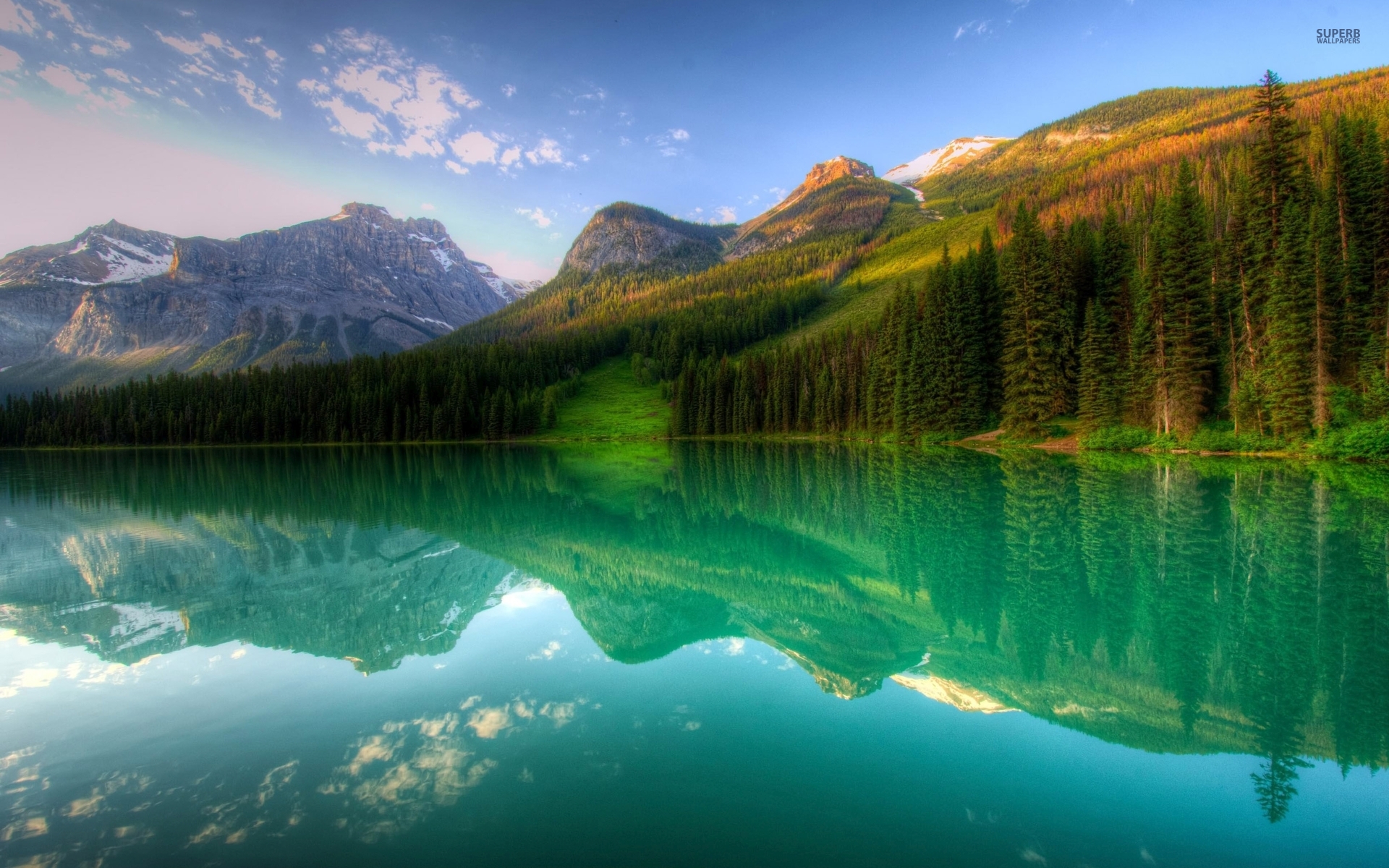 Mountains Forest Lake Reflect Wallpaper