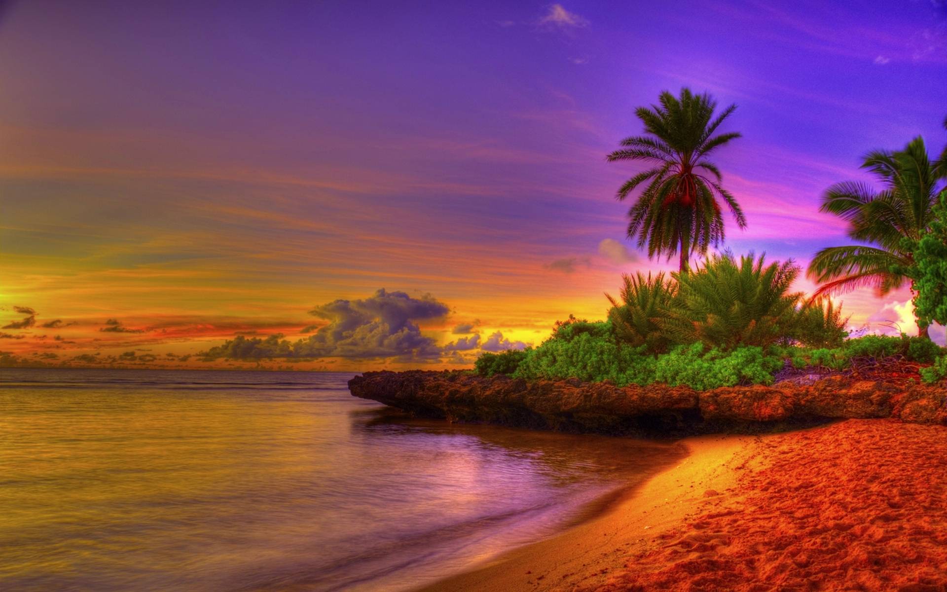 High Resolution Tropical Wallpapers Background download free