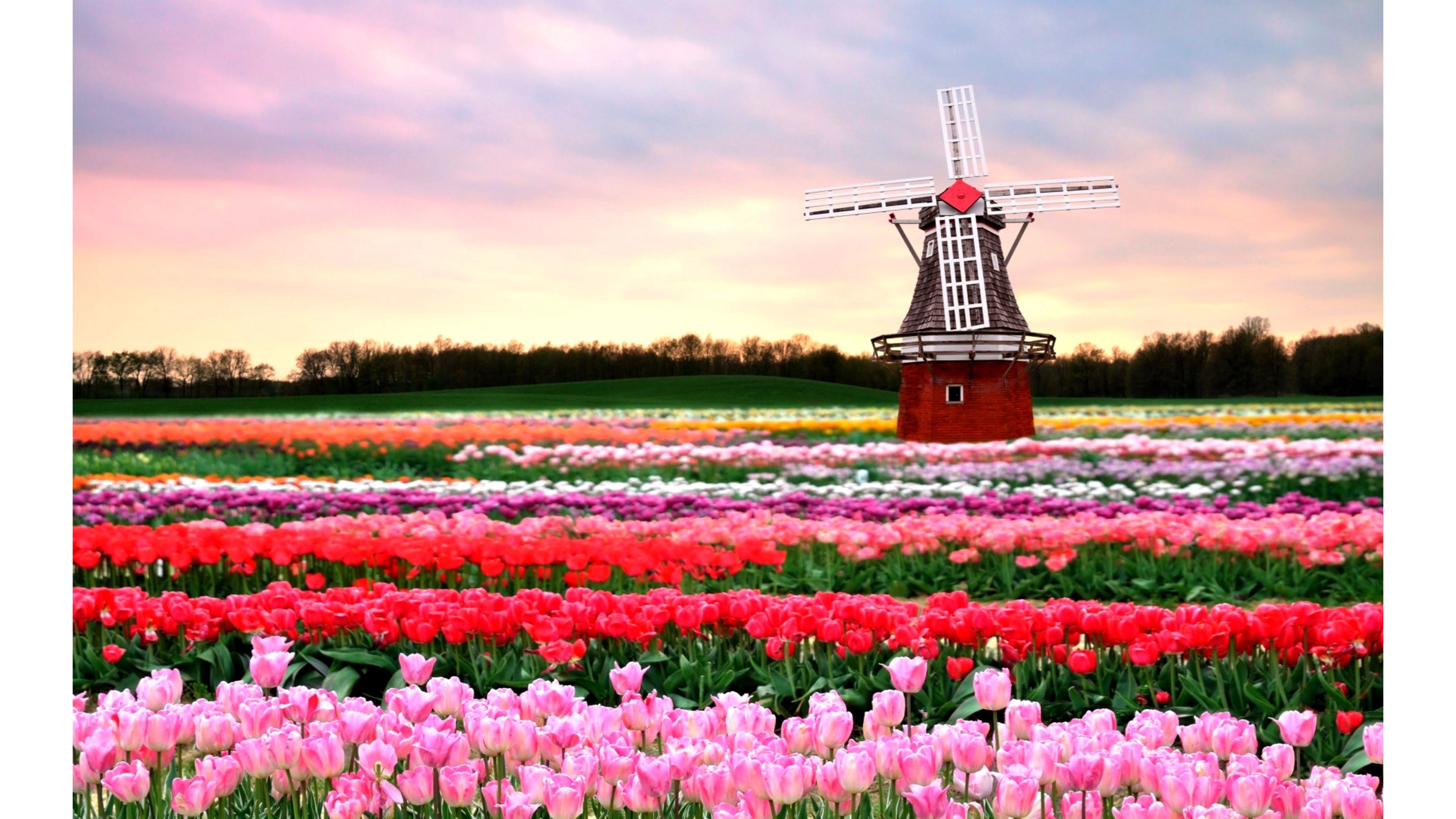 Springs Wallpapers WallpaperSafari