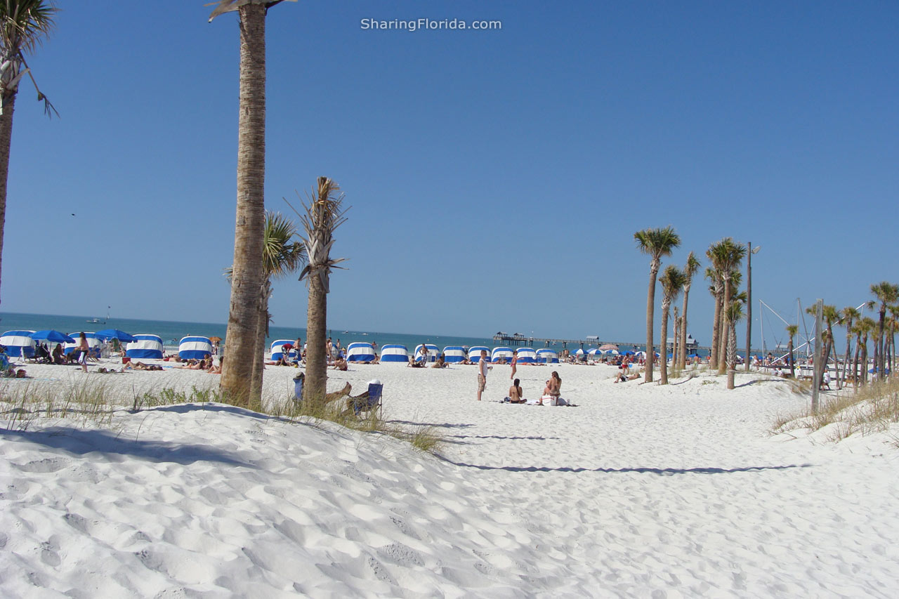  Backgrounds   Large Wallpaper Backgrounds of Floridas Gulf Coast