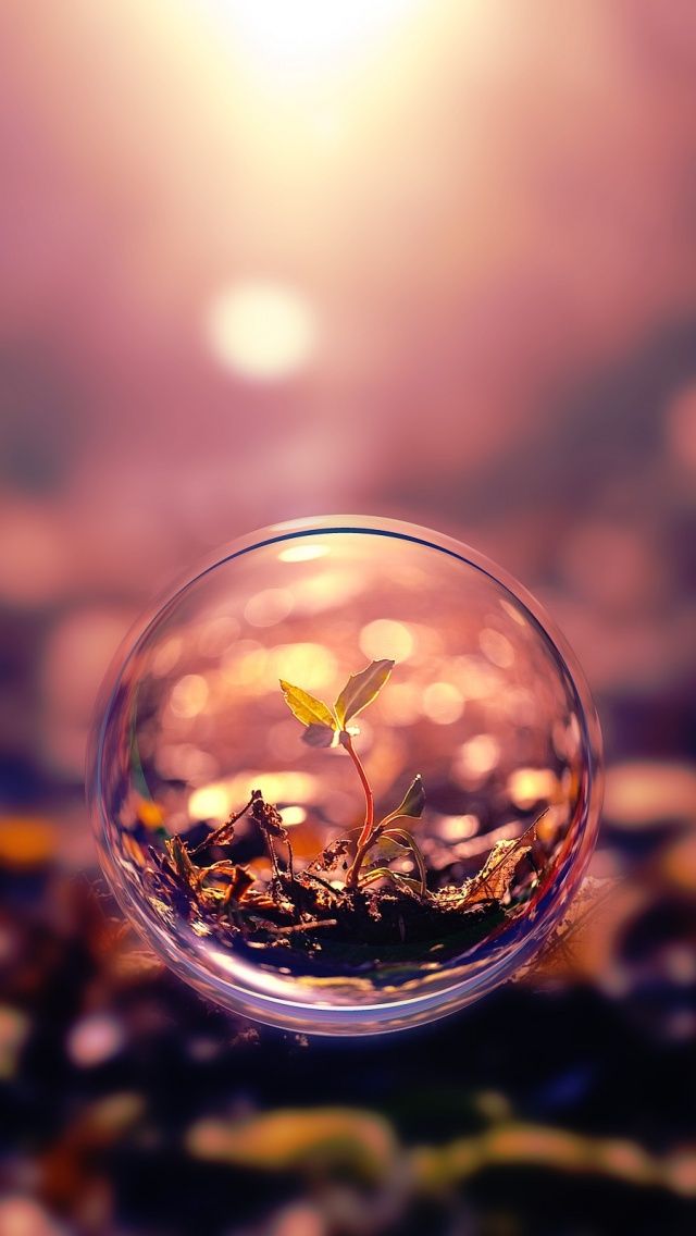 Life in a bubble iPhone5 wallpaper WallpaperDuvar Kad in 640x1136