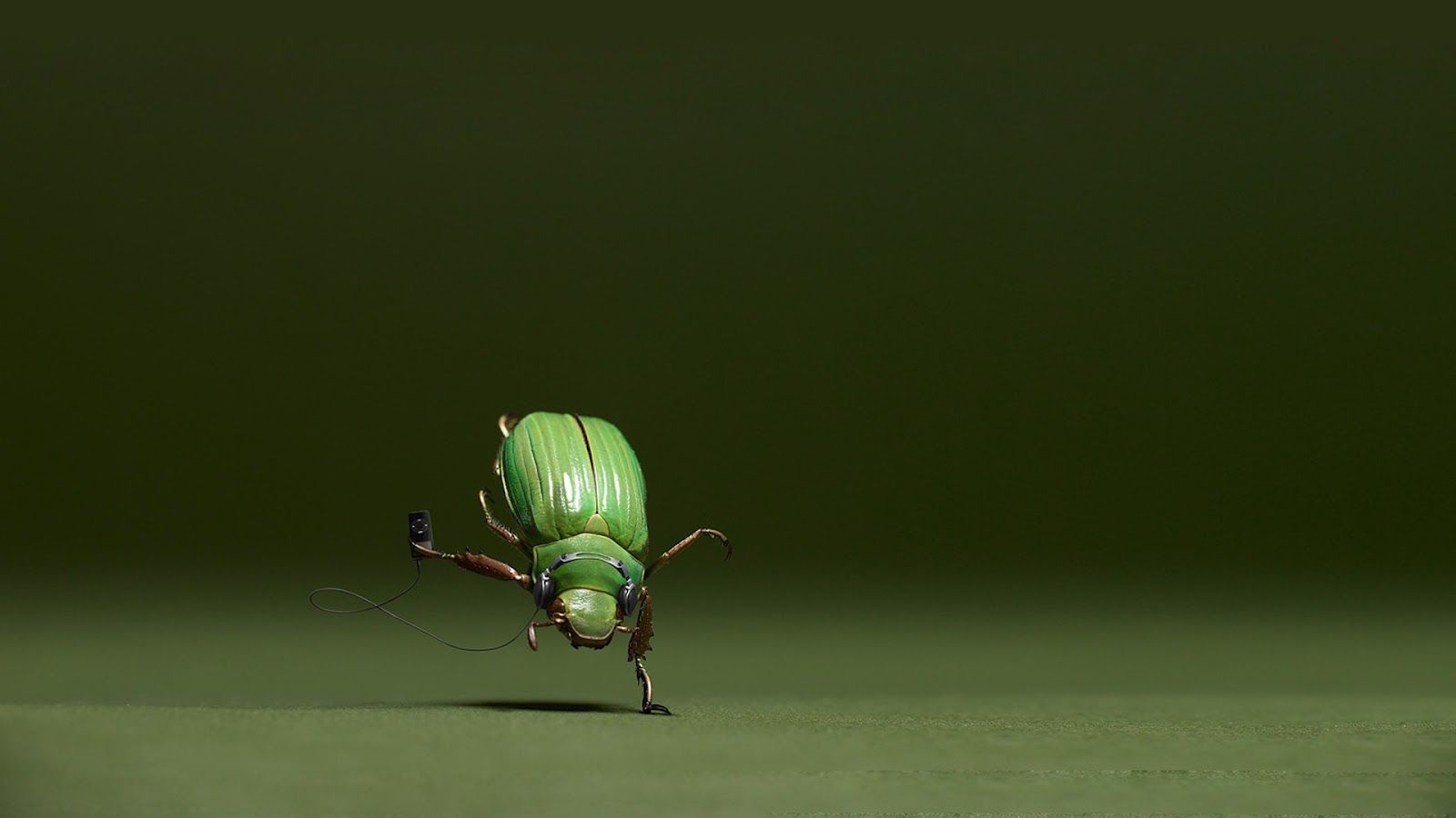 Bugs Wallpaper Top Background