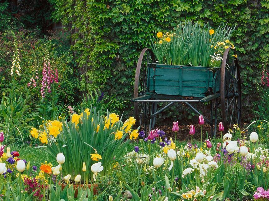 Spring Flower Garden Desktop Background Pixdaus