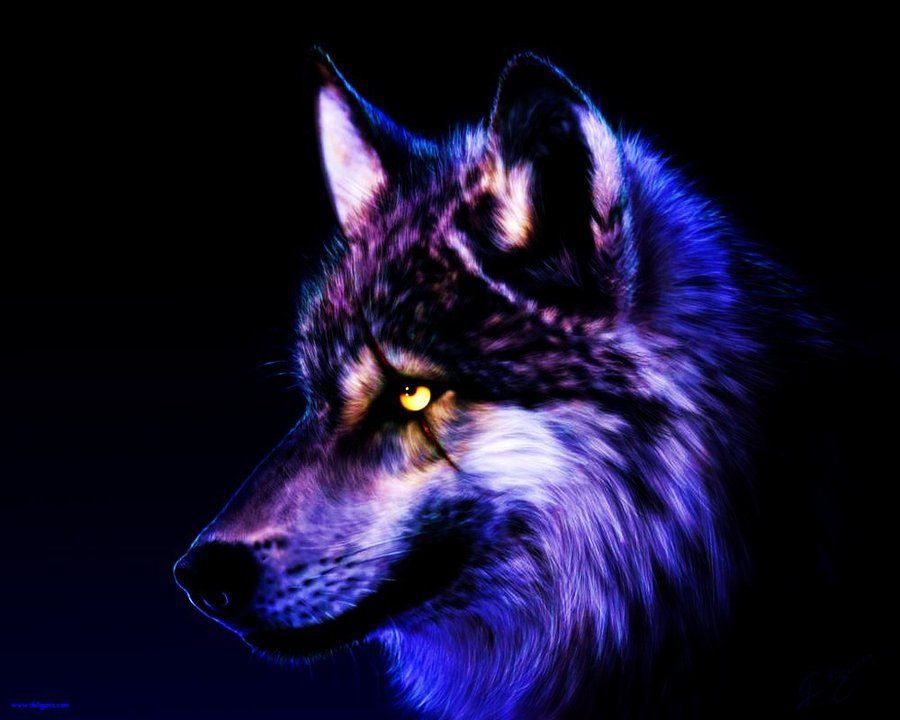 Dark Neon Wolf Wallpaper Live Wallpaper  free download