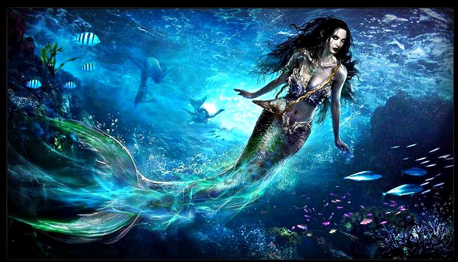 Beautiful Mermaids HD Wallpaper Hivewallpaper