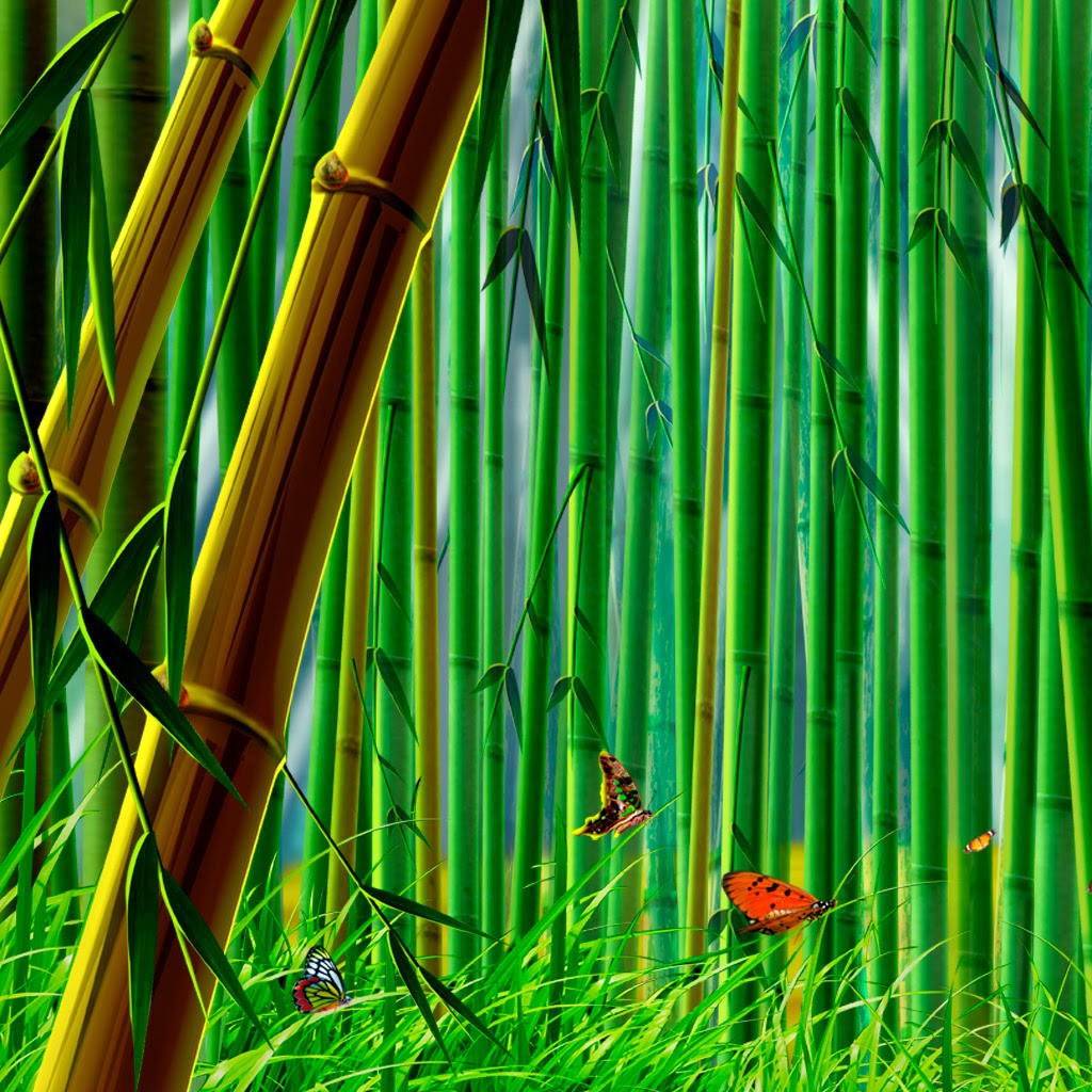 Bamboo Forest HD Desktop Wallpape