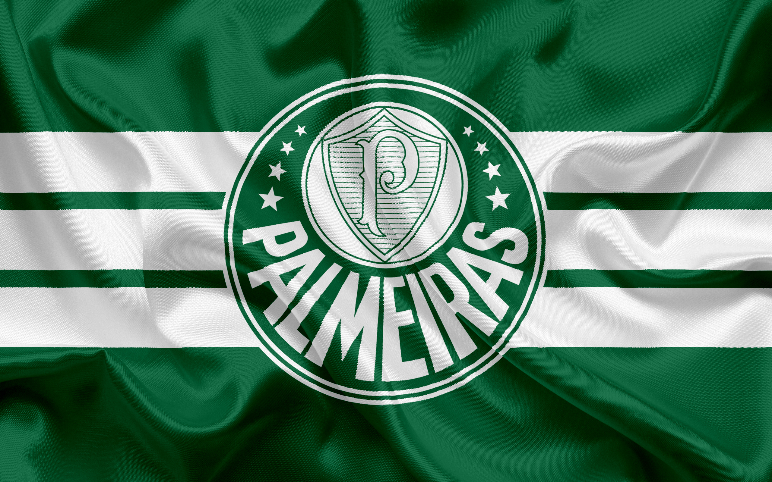 Palmeiras Logo HD Wallpaper Background Image Id