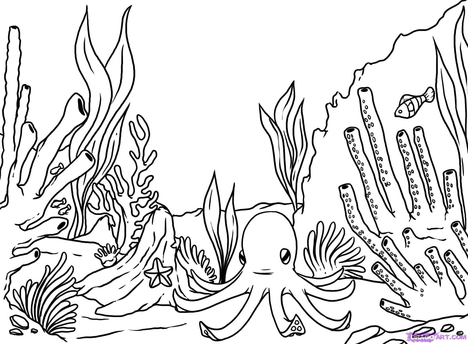 Step 8 How to Draw a Coral Reef
