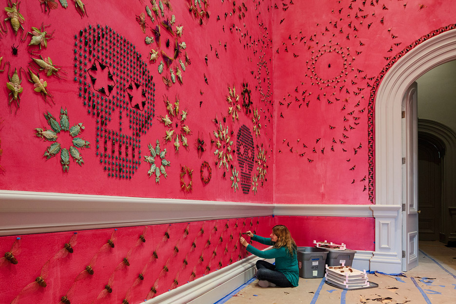 Bugs Adorn The Walls At Renwick Gallery In Washington Dc