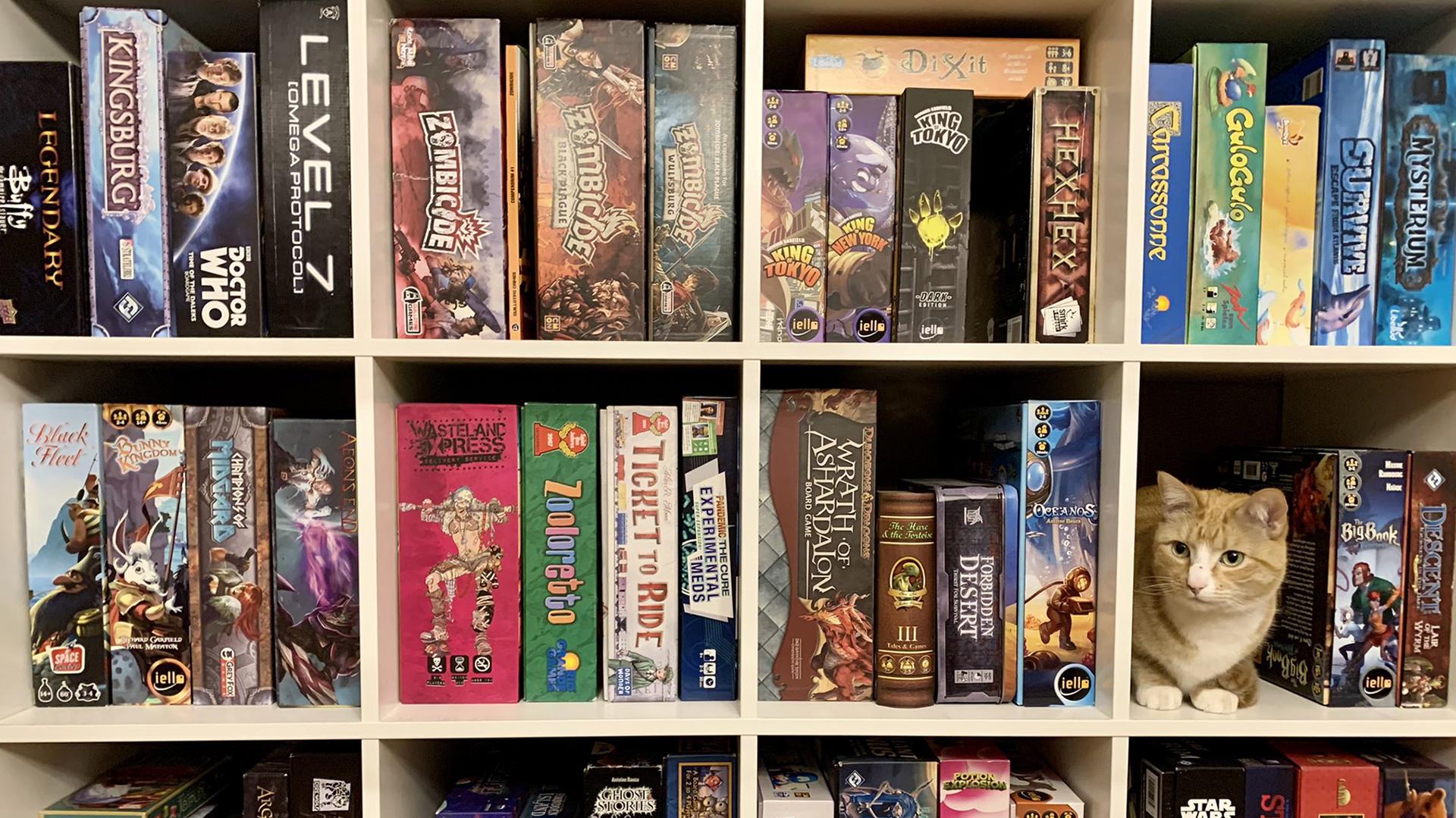 Board Games Collection Shelf Virtual Background