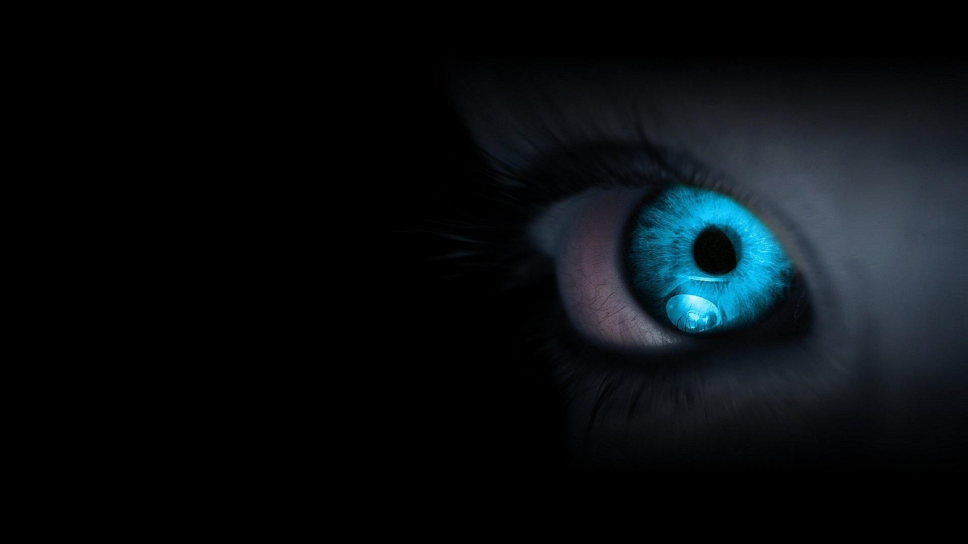 Wallpaper Panther Eyes Desktop Animals