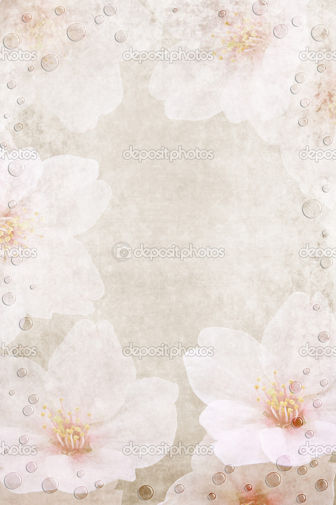 Pink And White Floral Background