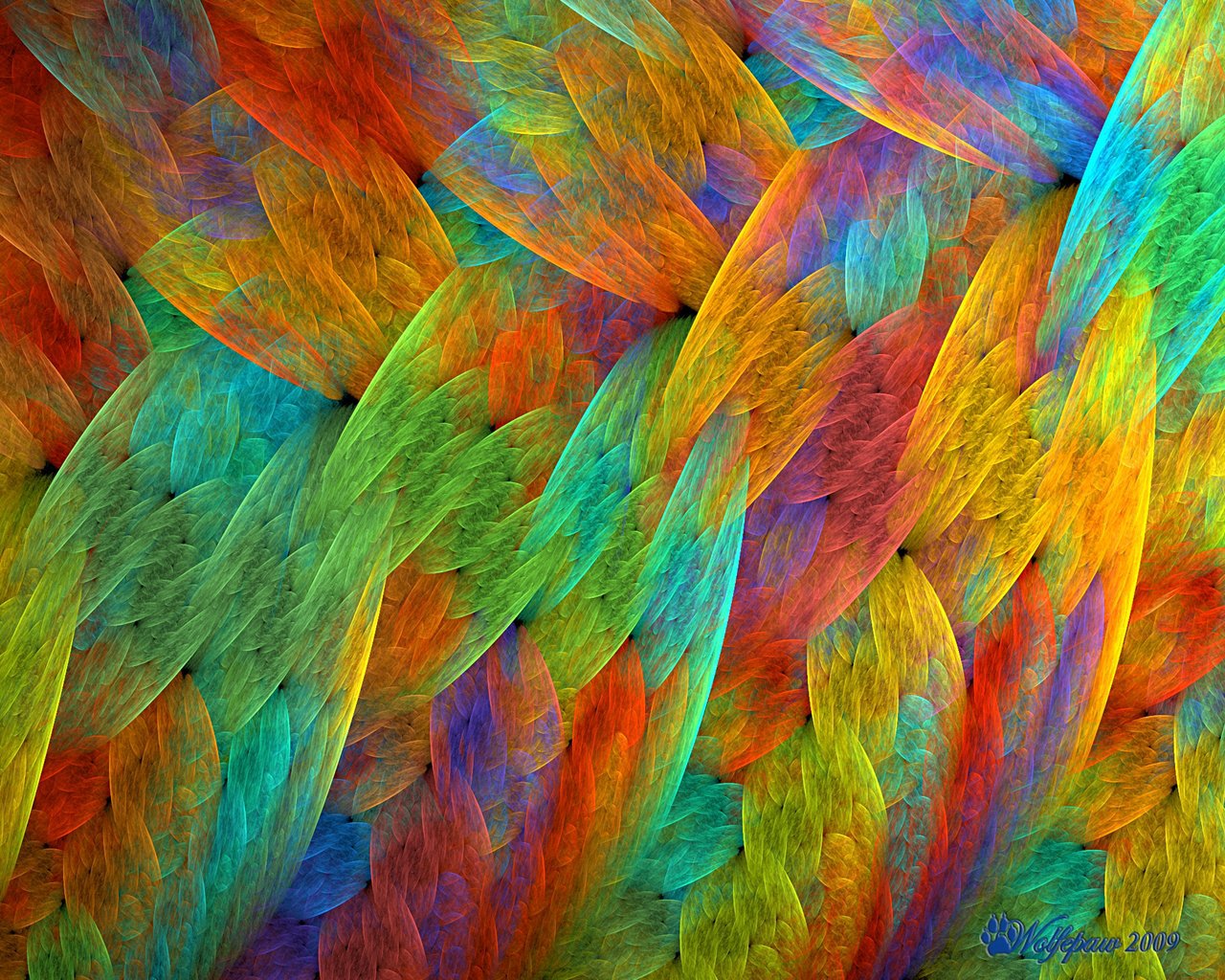 Feathers Of The Rainbow Bird By Wolfepaw
