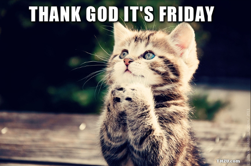 Thank God It S Friday Cat Praying