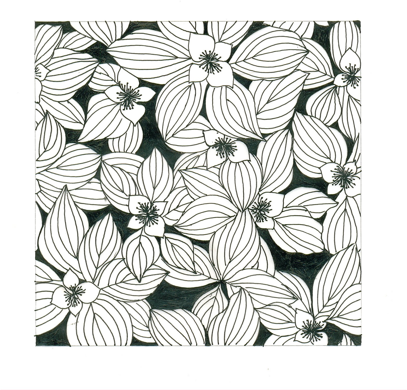 Black on White Floral Print Fabric Texture Picture, Free Photograph