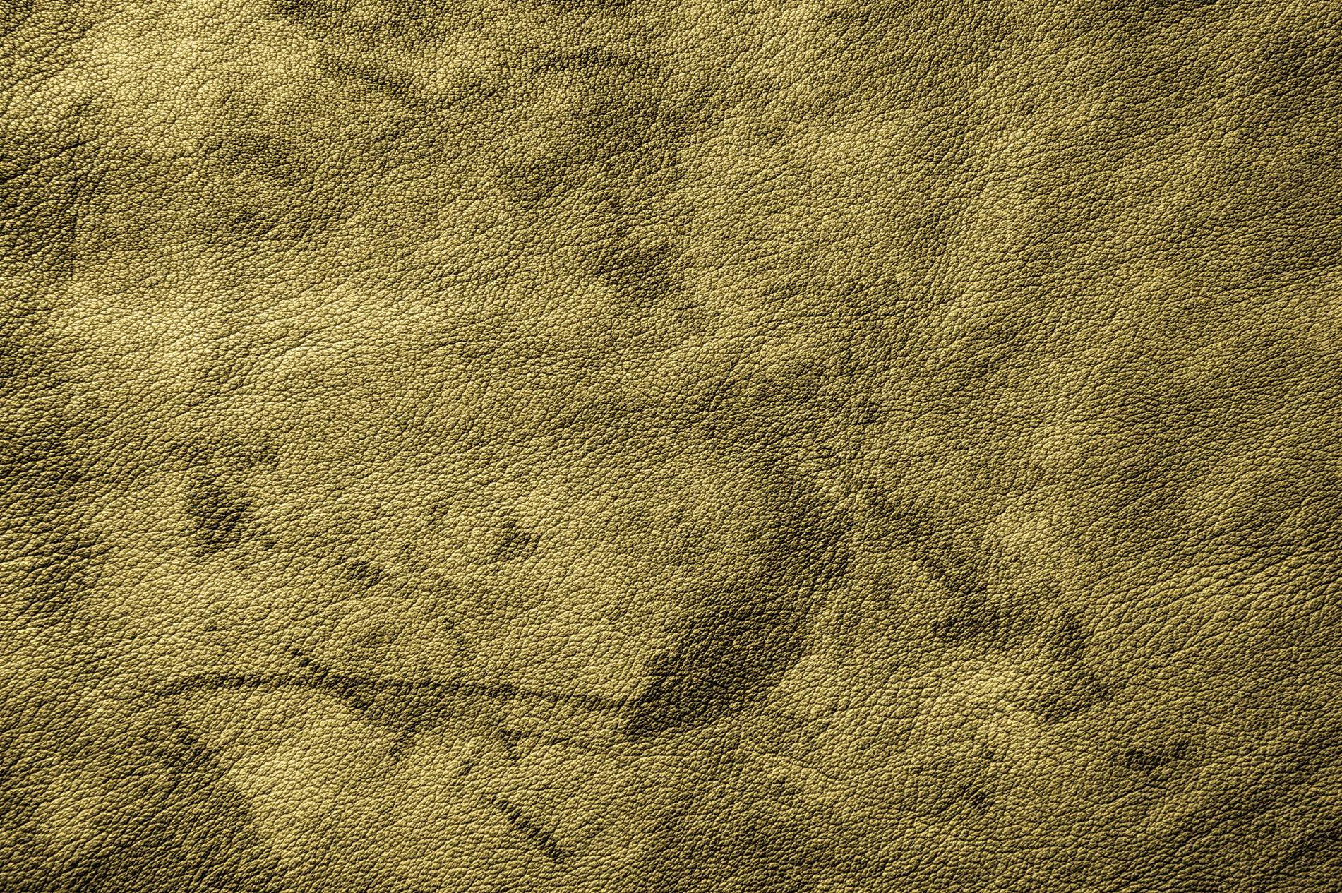 Army Green Grunge Leather Texture Background   PhotoHDX