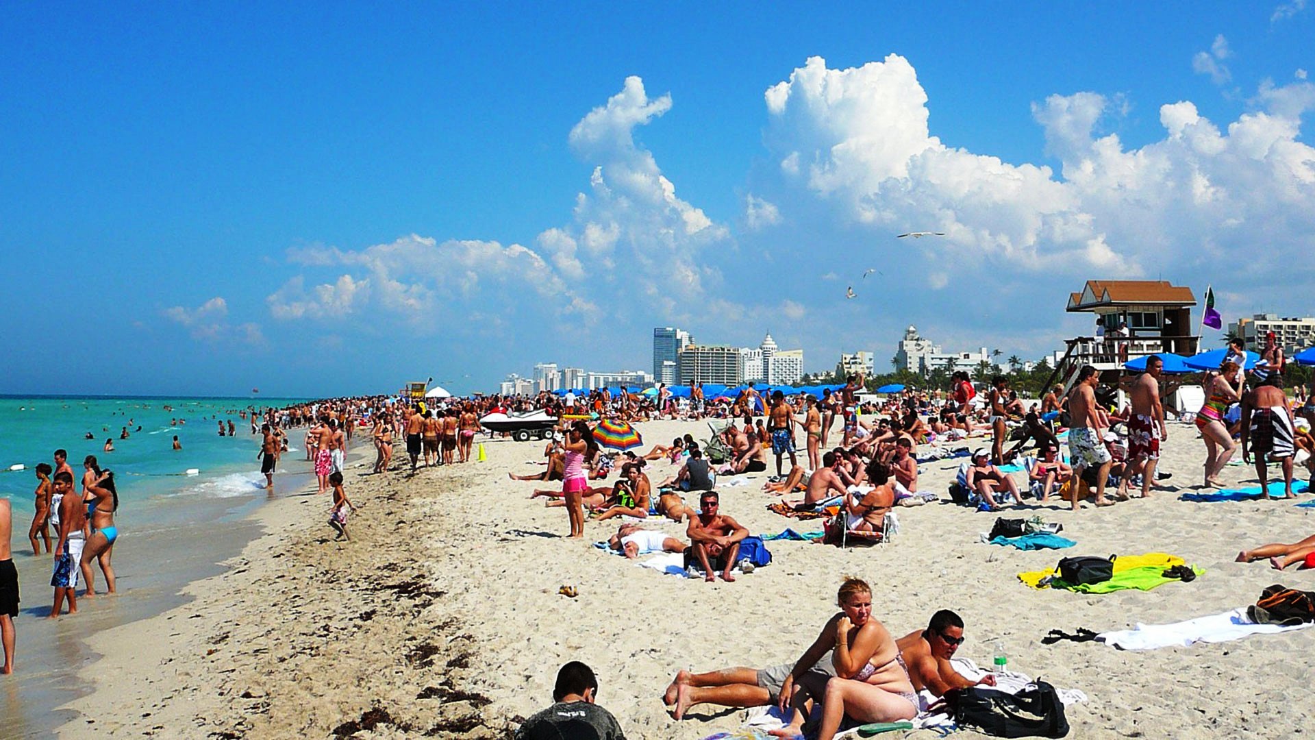 Miami Beach Florida USA HD Wallpaper Miami Beach Florida USA