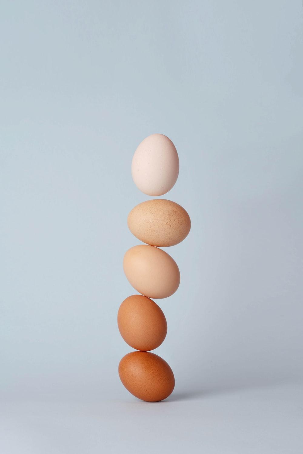 Chicken Egg Pictures Image