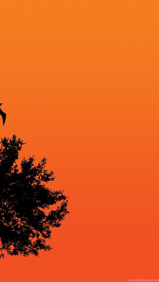 Black Tree In Orange Wallpaper Desktop Background