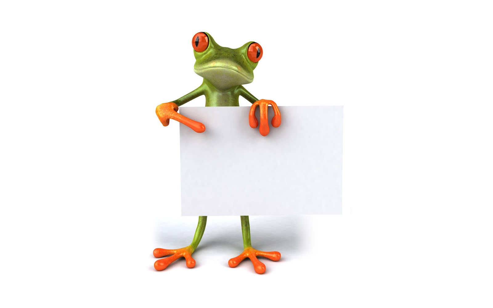  frog points to a paper 3D wallpaper 2012 free download wallpapers
