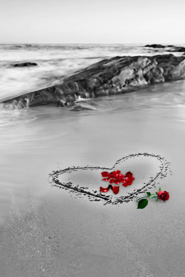 Beach Heart Red Roses Valentine Wallpaper
