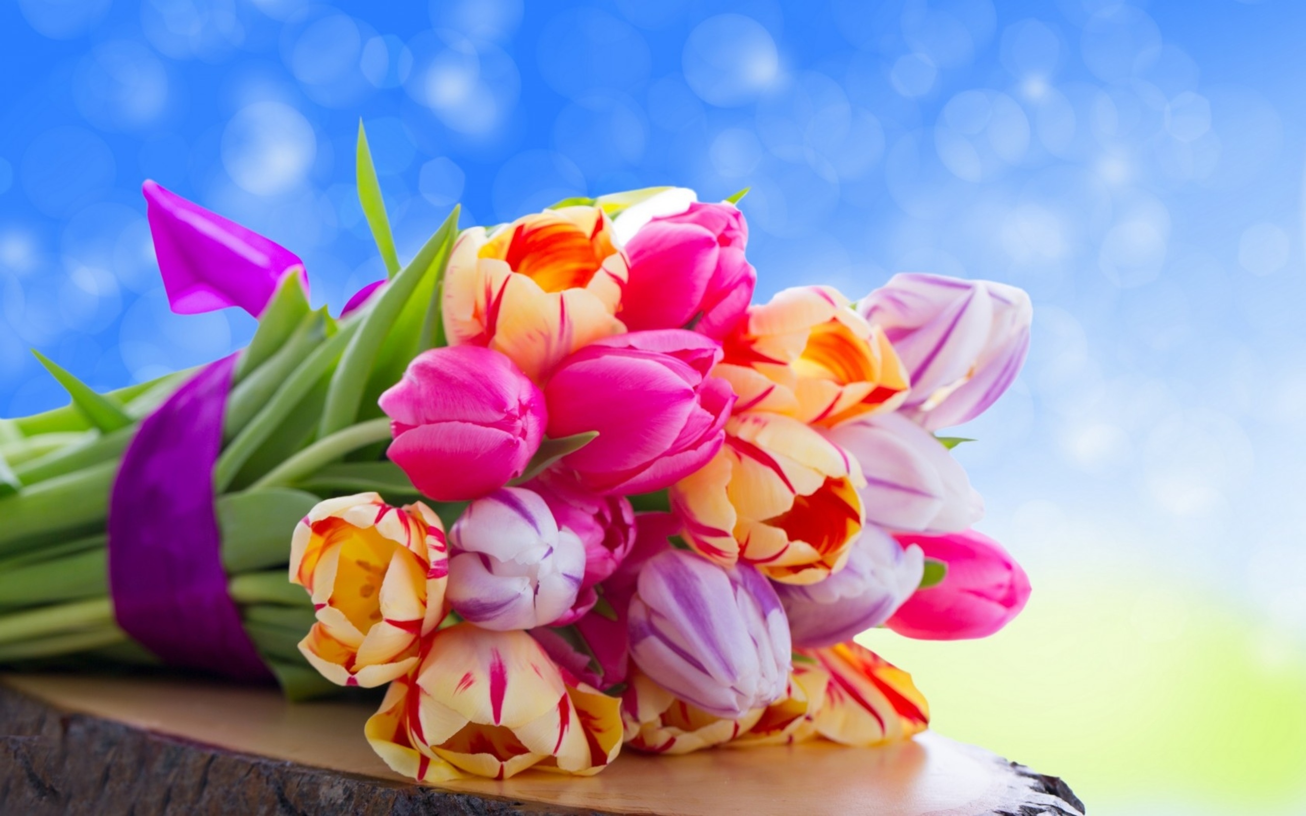 Pretty Colorful Flowers Wallpaper