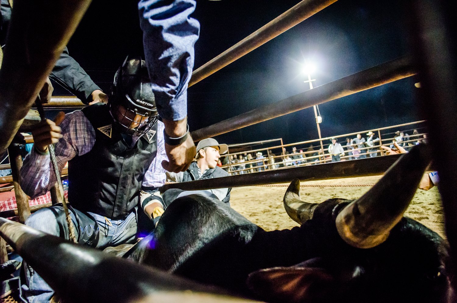 Cowboy Up Bull Riding Submited Image
