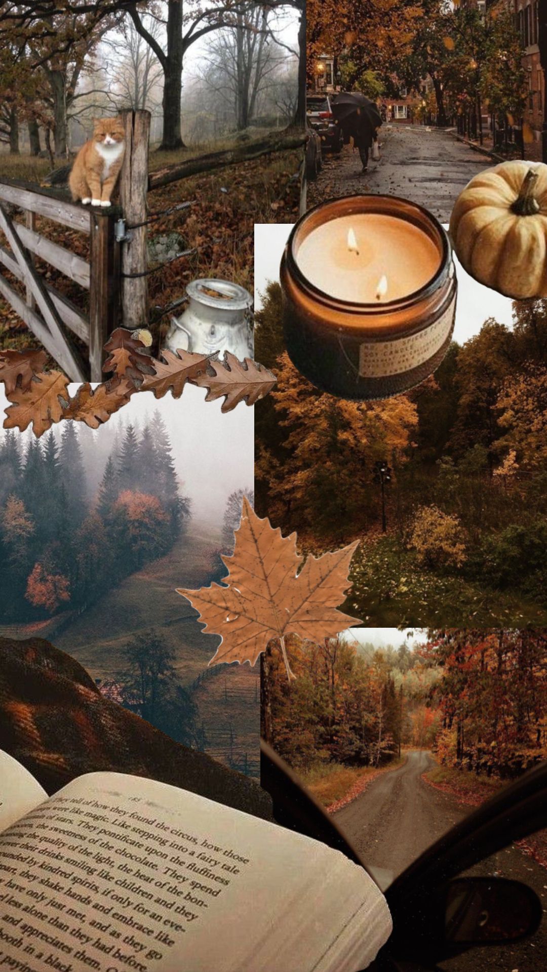 Fall Wallpaper For iPhone Best Autumn Artofit