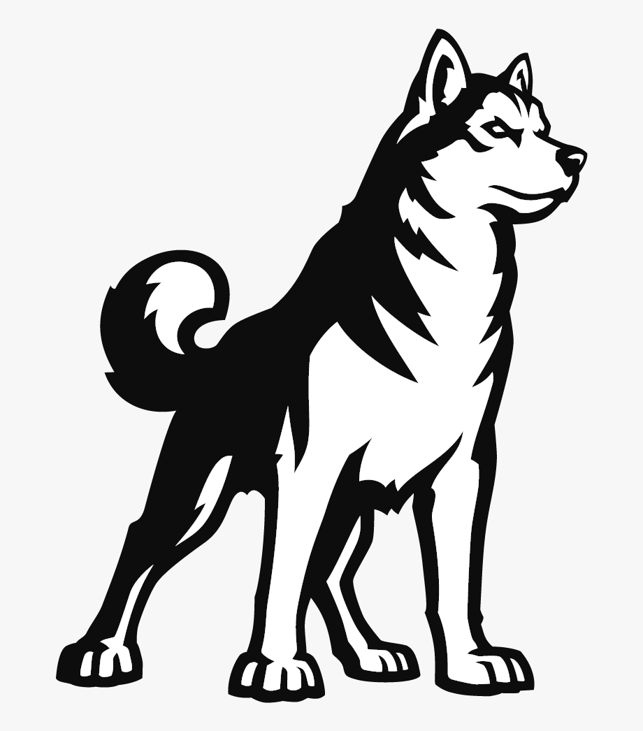 Husky Clear Background Northeastern Png Transparent