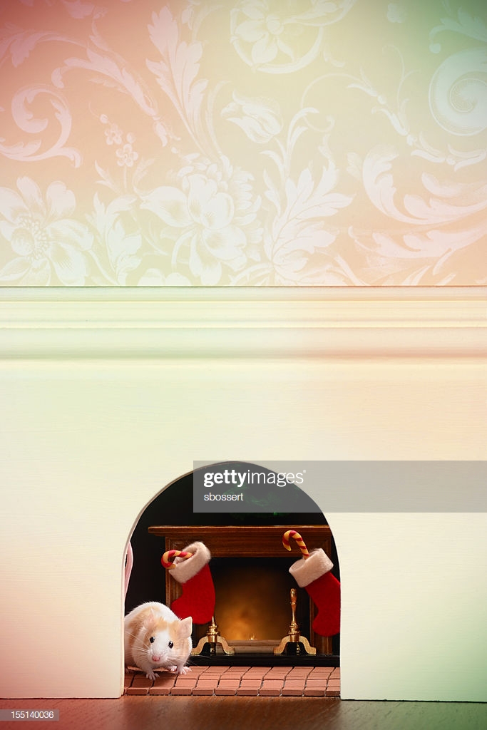 Mouse Hole At Christmas Stock Photo Getty Image
