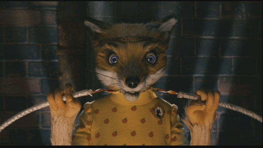 Fantastic Mr Fox Image