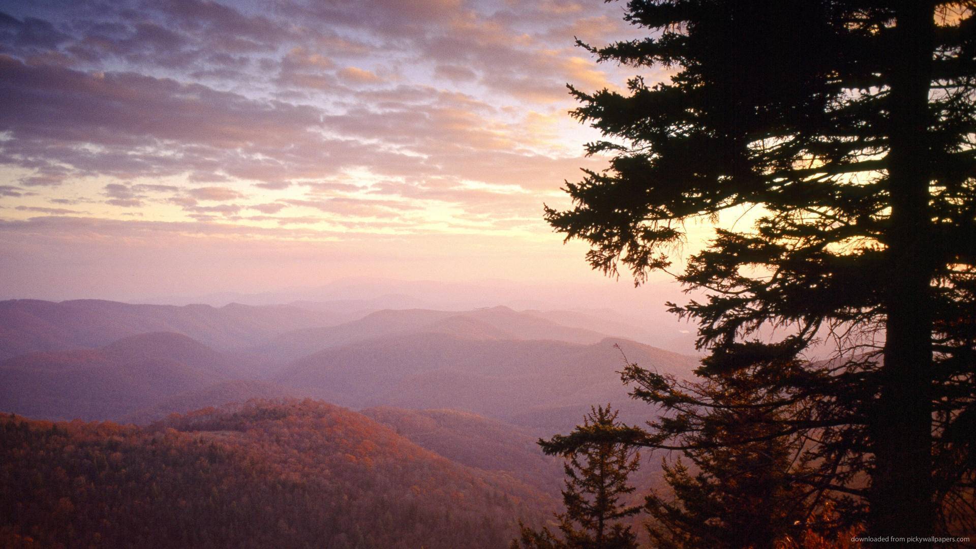 Nc Mountains Pictures Wallpaper