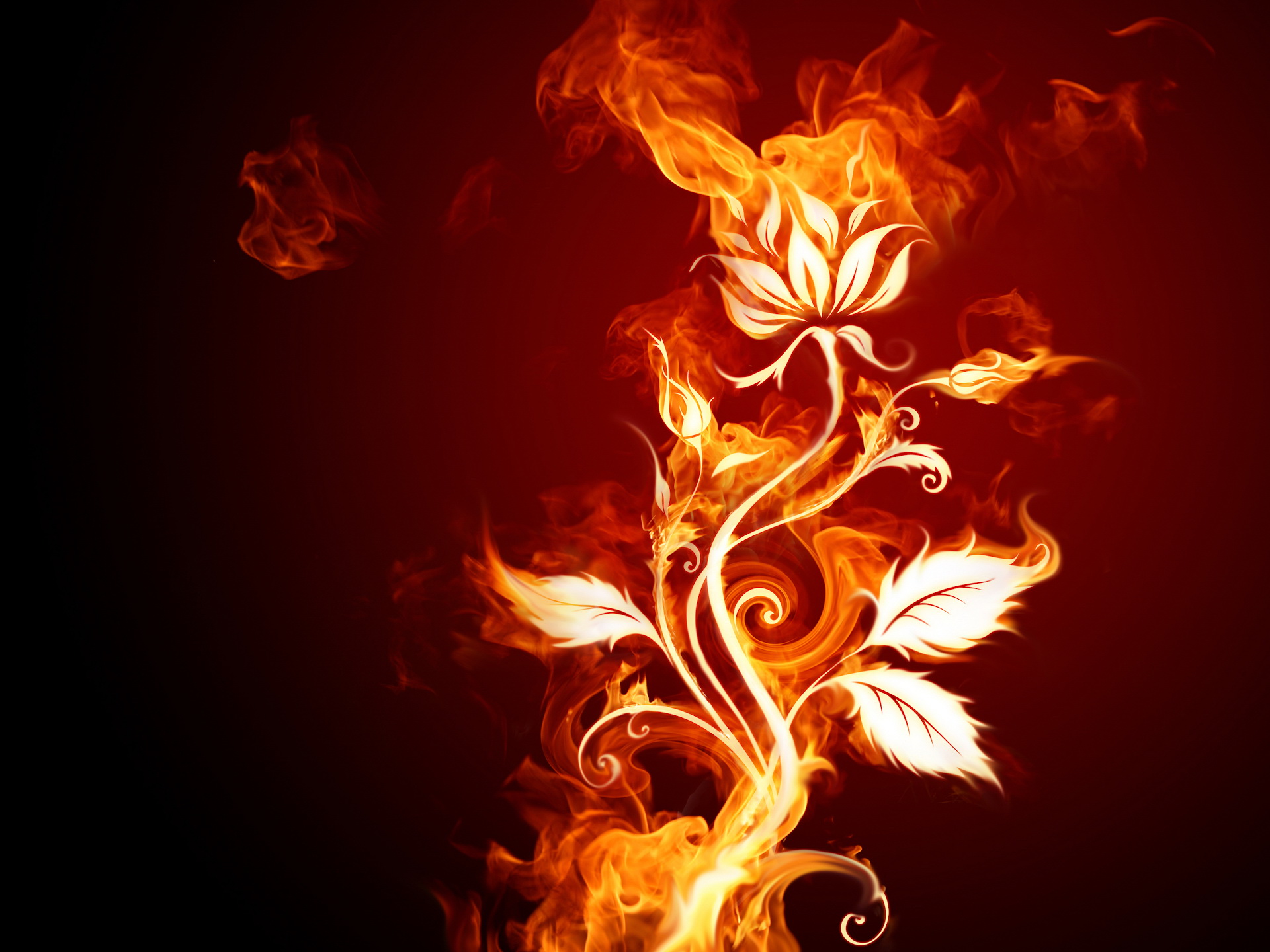 Fire Flower Desktop Pc And Mac Wallpaper