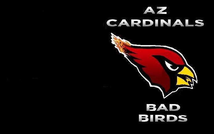 Az Cardinals Bad Birds Wallpaper By Plakurth