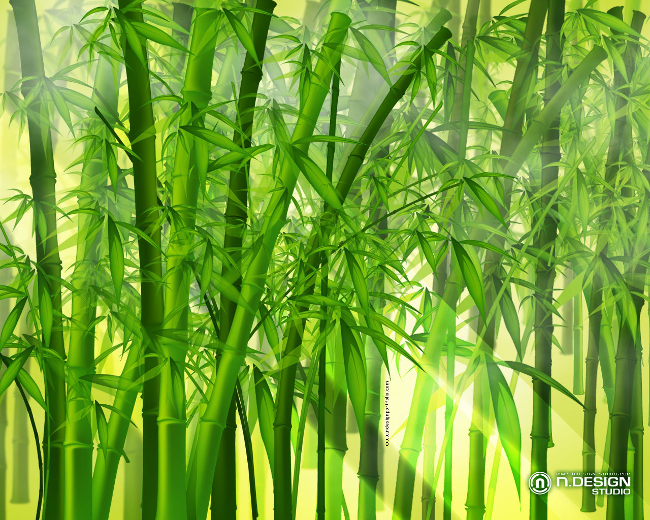 Bamboo Green Wallpaper