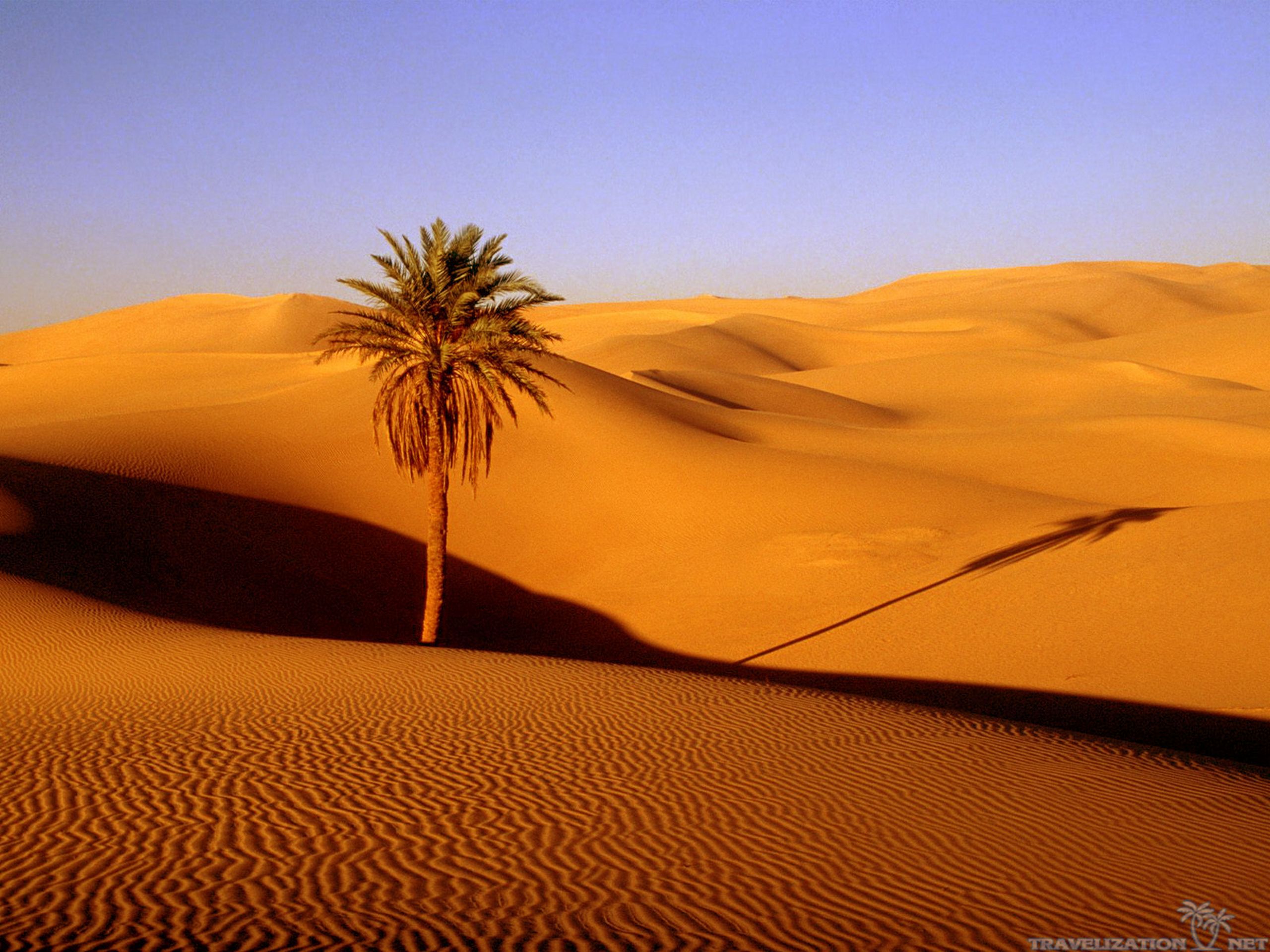 Fascinating Scenes of Desert Wallpapers Travelization